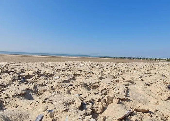 O De - A 20m De La 4* Сангатт