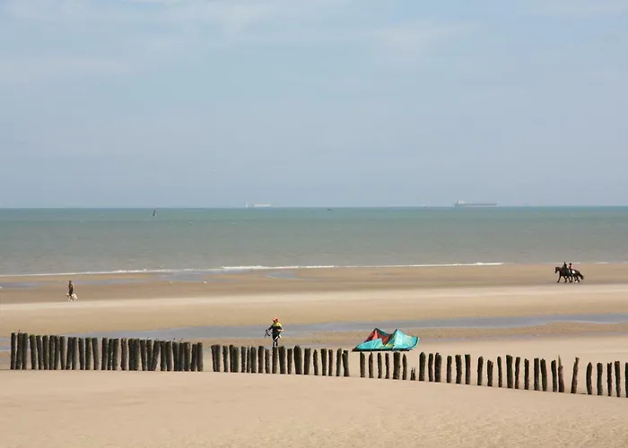 O De - A 20m De La Guest house